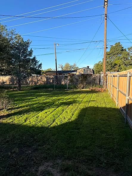 Fresh cut along a fence line