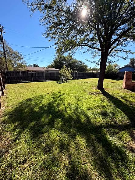 Mowed lawn with tree shade